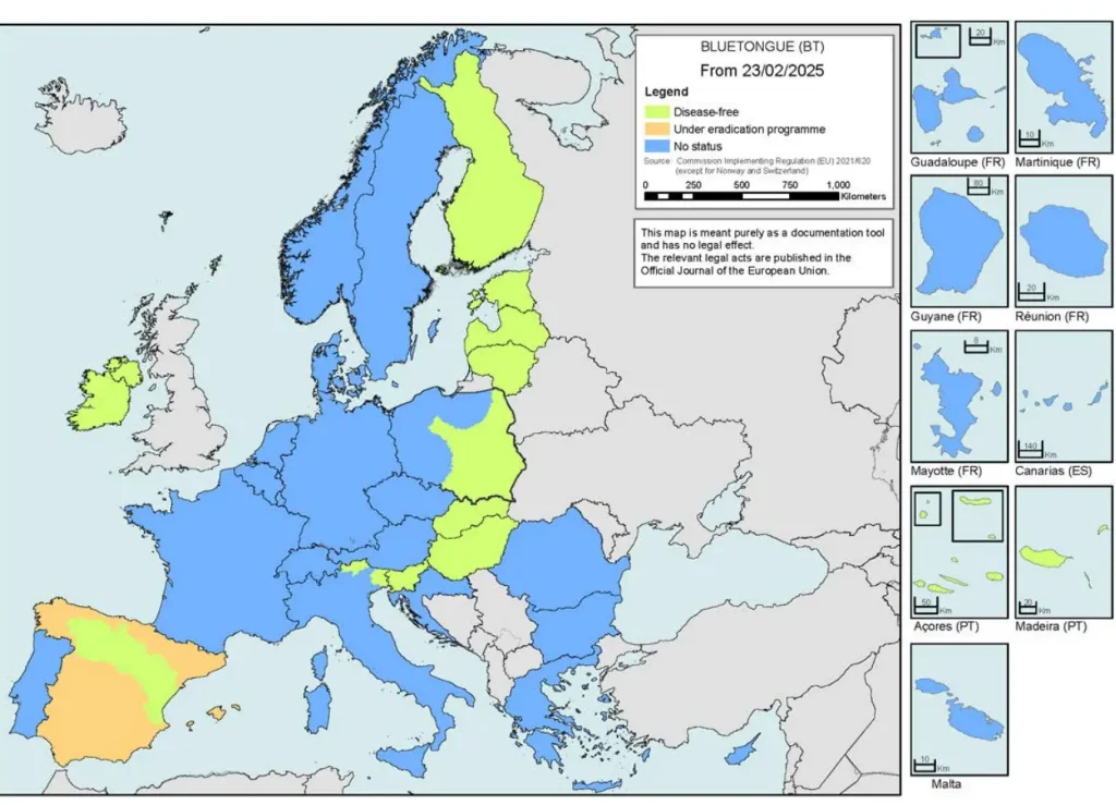 Bluetongue mapa EU