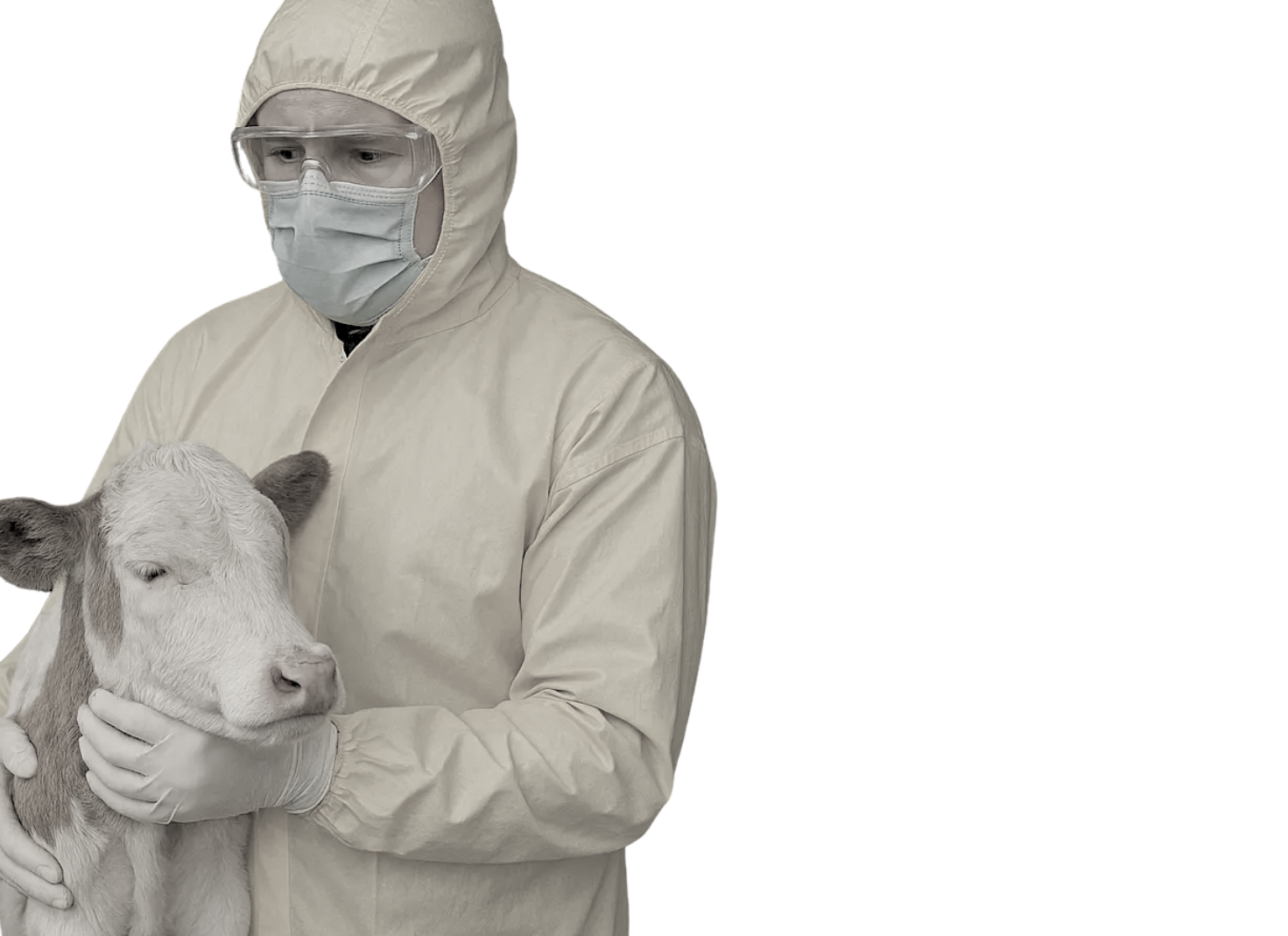 Veterinár s teliatkom