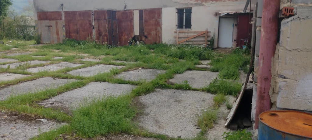 Areál s rozpadajúcimi sa budovami, prerastenou burinou a zničeným povrchom. V pozadí stojí chudé žriebä pri stene s hrdzavými vratami.